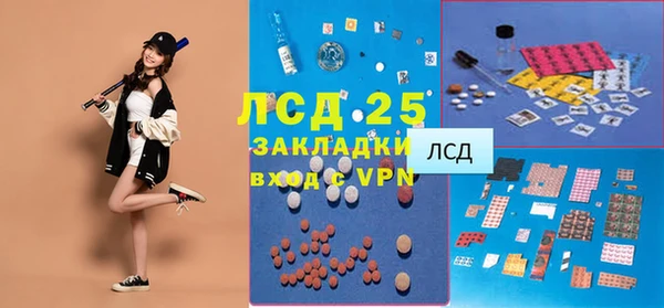 соль ск Вяземский