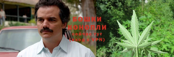 прущая мука Вязьма