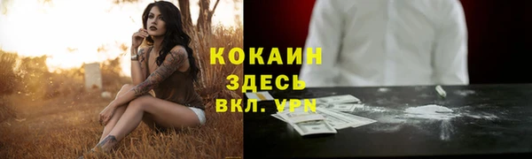 соль ск Вяземский
