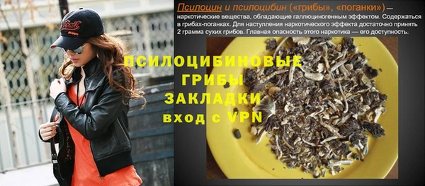 соль ск Вяземский