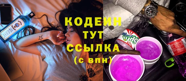соль ск Вяземский